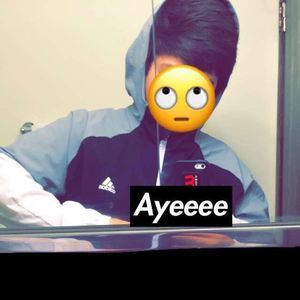 Meet your Posher, Bailey